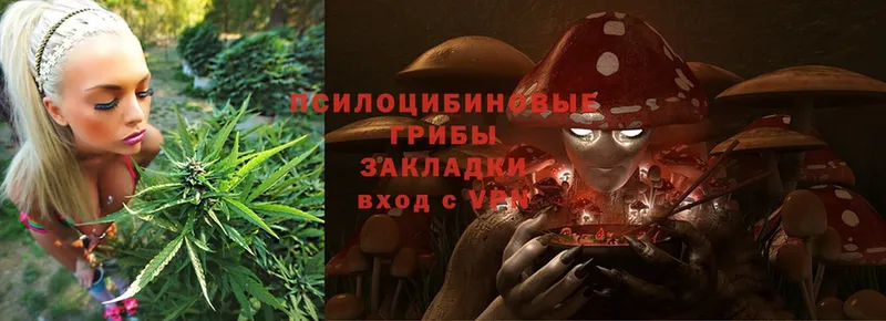 Псилоцибиновые грибы Magic Shrooms  Лахденпохья 